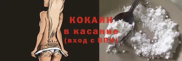 PSILOCYBIN Семёнов