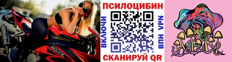 Псилоцибиновые грибы мухоморы Дмитриев